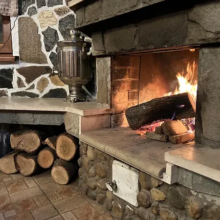 Rila Guest house Govedartsi