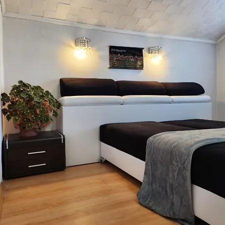 Guest house Rila Govedartsi