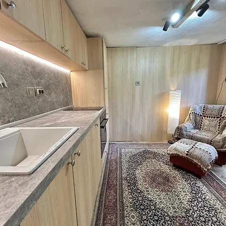 Rila Guest house Govedartsi