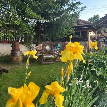 Rila Guest house Govedartsi